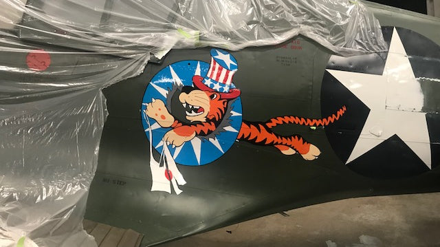 P-40 Kittyhawk Back to Life