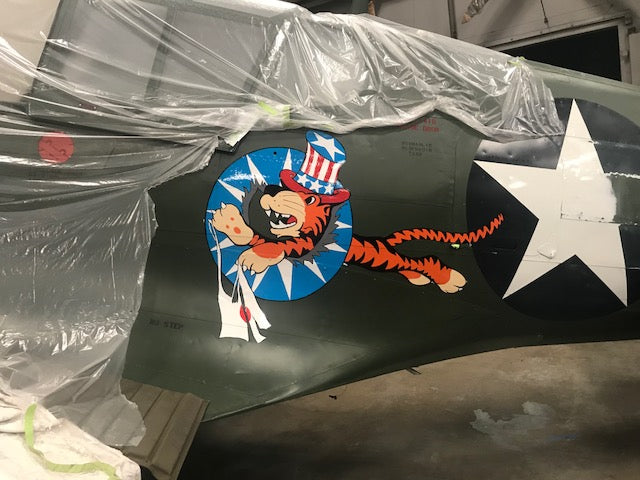 P-40 Kittyhawk Back to Life