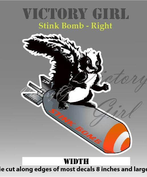 Stink Bomb Nose Art Vinyl Decal Sticker