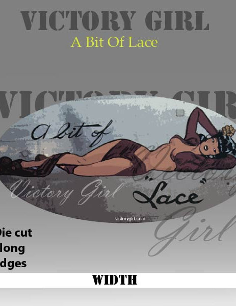 Bit O Lace Nose Art Vinyl Decal Sticker