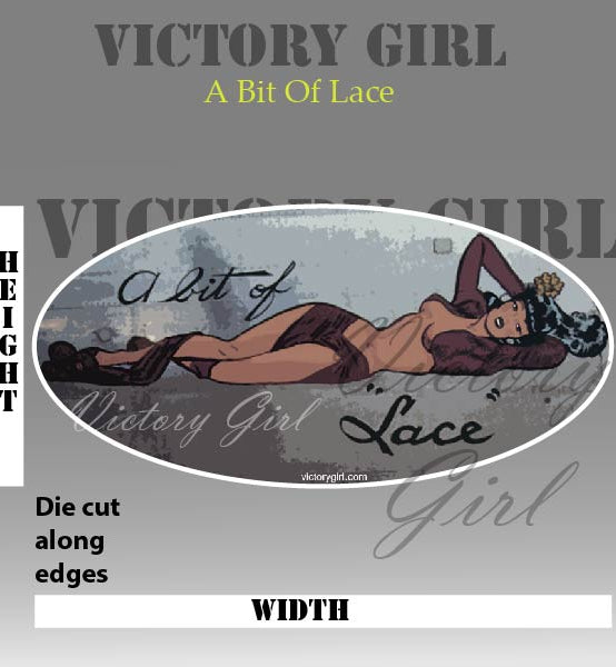 Bit O Lace Nose Art Vinyl Decal Sticker