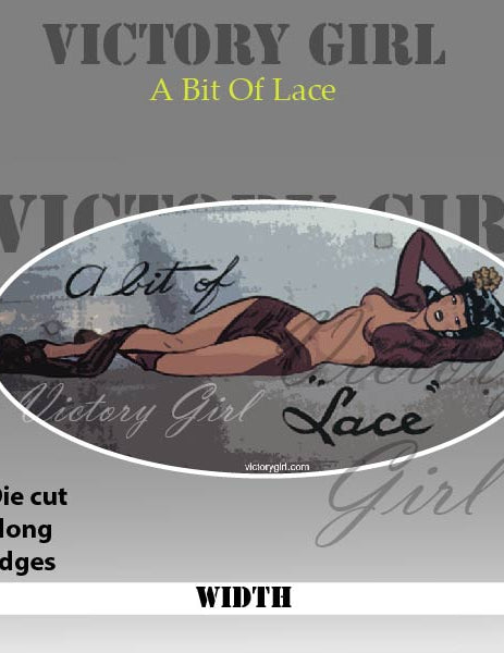 Bit O Lace Nose Art Vinyl Decal Sticker