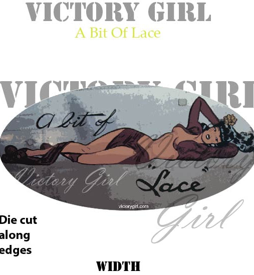 Bit O Lace Nose Art Vinyl Decal Sticker