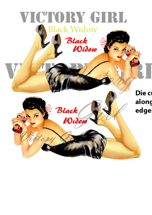 Vintage pinup aircraft nose art Black Widow