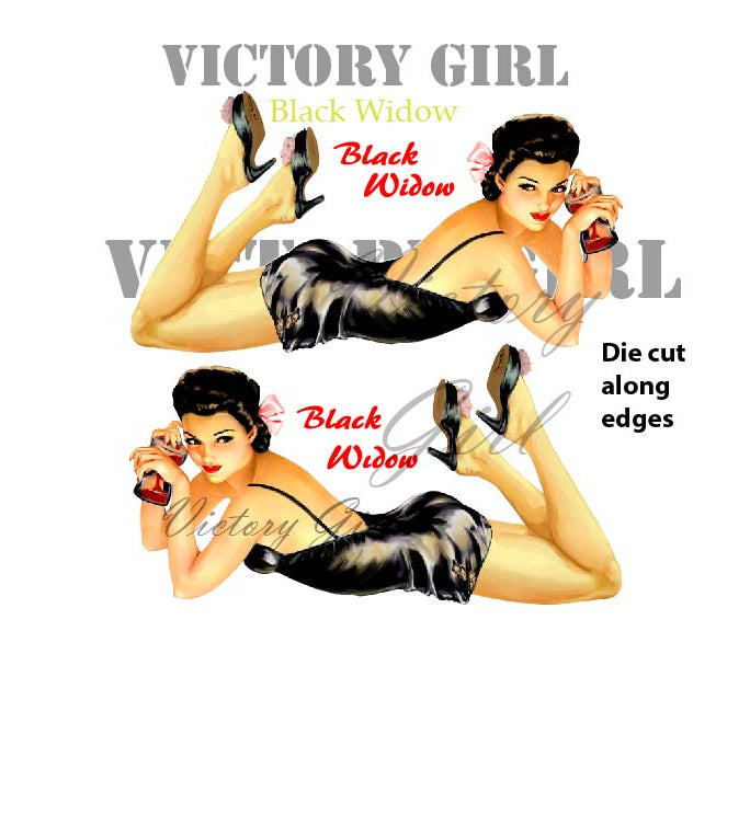 Vintage pinup aircraft nose art Black Widow