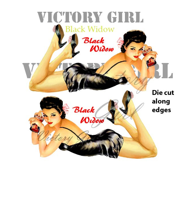 Vintage pinup aircraft nose art Black Widow