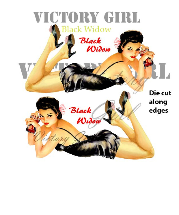 Vintage pinup aircraft nose art Black Widow