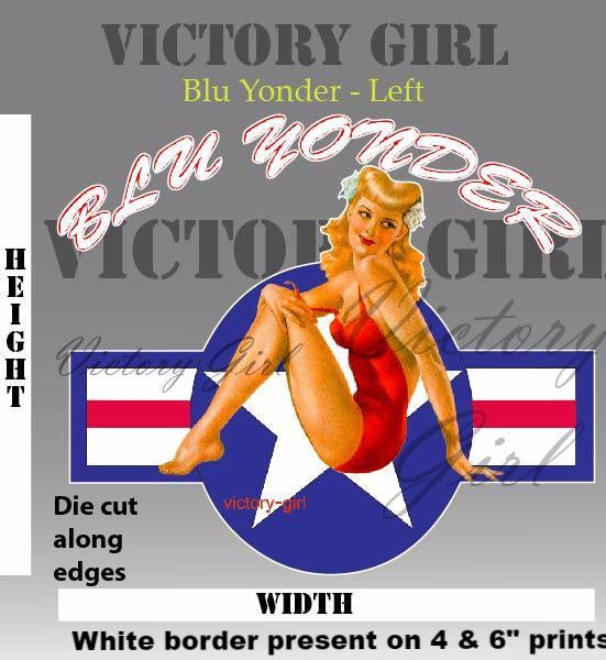 Blu Yonder with Stars n Bars Vinyl Decal Sticker