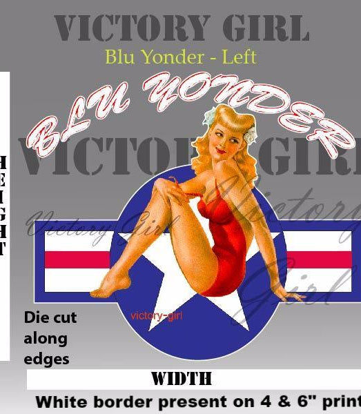 Blu Yonder with Stars n Bars Vinyl Decal Sticker