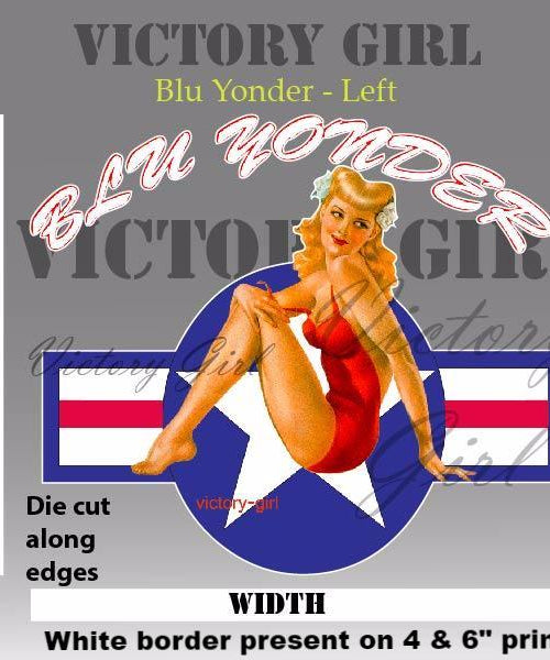 Blu Yonder with Stars n Bars Vinyl Decal Sticker