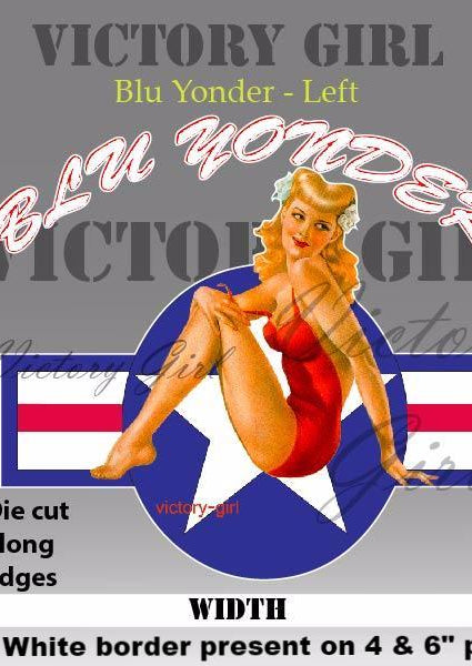 Blu Yonder with Stars n Bars Vinyl Decal Sticker