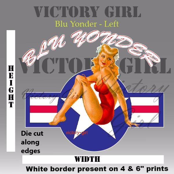 Blu Yonder with Stars n Bars Vinyl Decal Sticker