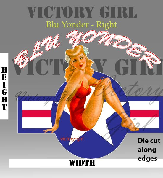 Blu Yonder with Stars n Bars Vinyl Decal Sticker
