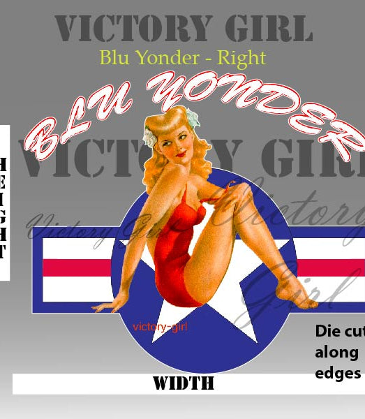 Blu Yonder with Stars n Bars Vinyl Decal Sticker