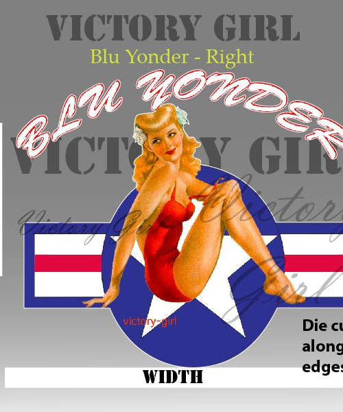Blu Yonder with Stars n Bars Vinyl Decal Sticker
