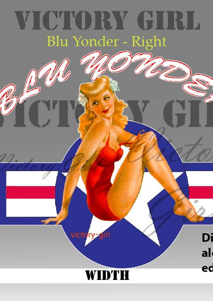 Blu Yonder with Stars n Bars Vinyl Decal Sticker