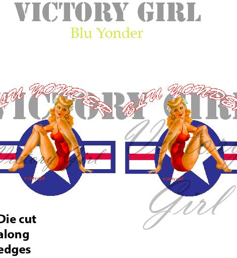 Blu Yonder with Stars n Bars Vinyl Decal Sticker