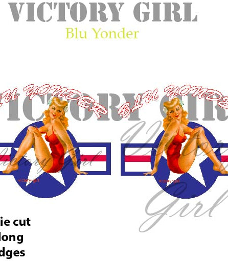 Blu Yonder with Stars n Bars Vinyl Decal Sticker