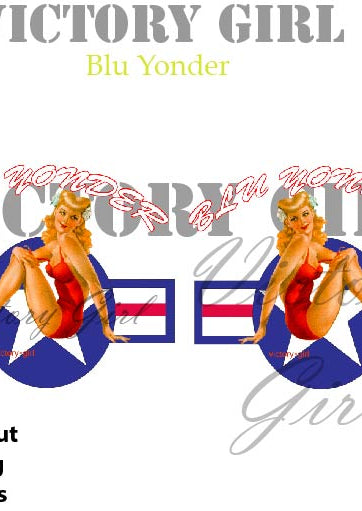 Blu Yonder with Stars n Bars Vinyl Decal Sticker