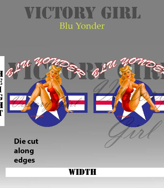 Blu Yonder with Stars n Bars Vinyl Decal Sticker