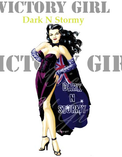 Dark N Stormy Nose Art Vinyl Decal Sticker