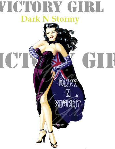 Dark N Stormy Nose Art Vinyl Decal Sticker