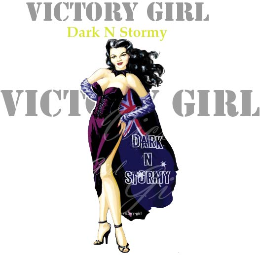 Dark N Stormy Nose Art Vinyl Decal Sticker