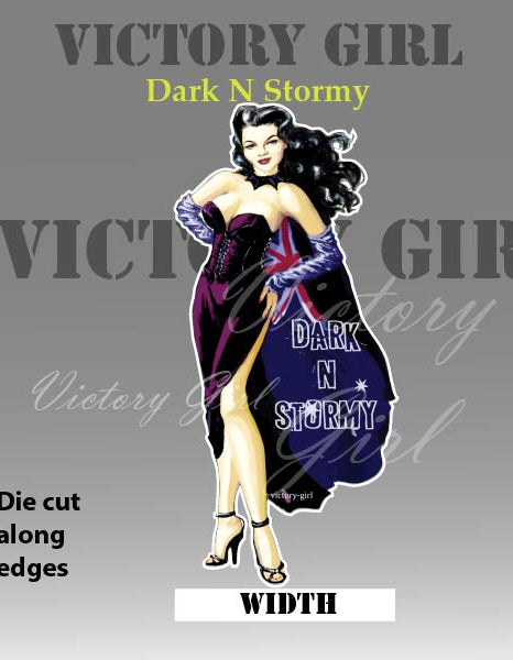 Dark N Stormy Nose Art Vinyl Decal Sticker