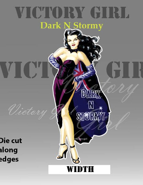 Dark N Stormy Nose Art Vinyl Decal Sticker