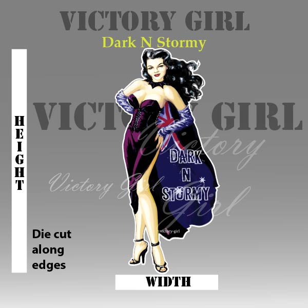 Dark N Stormy Nose Art Vinyl Decal Sticker