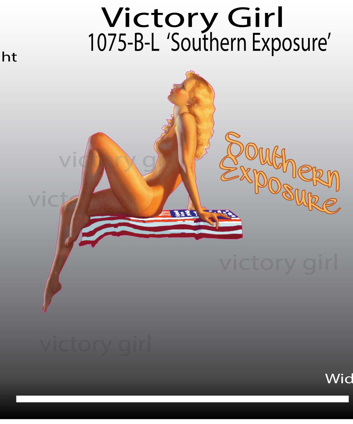 Southern Exposure Vinyl Decal Sticker