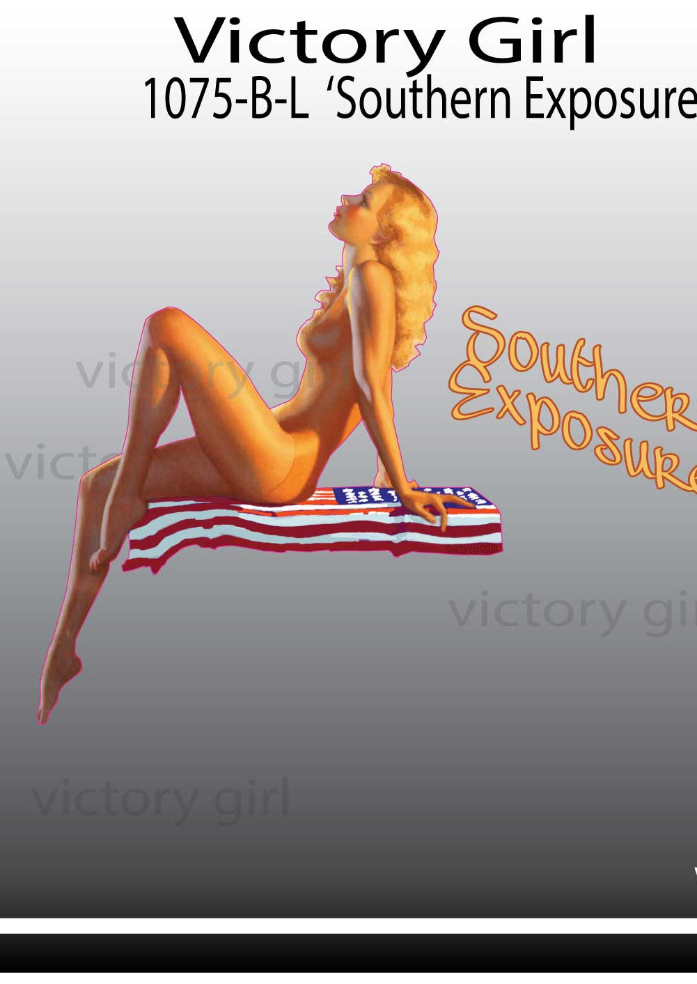 Southern Exposure Vinyl Decal Sticker