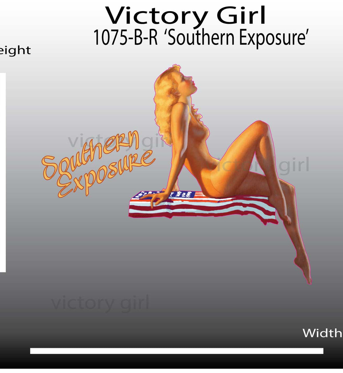 Southern Exposure Vinyl Decal Sticker