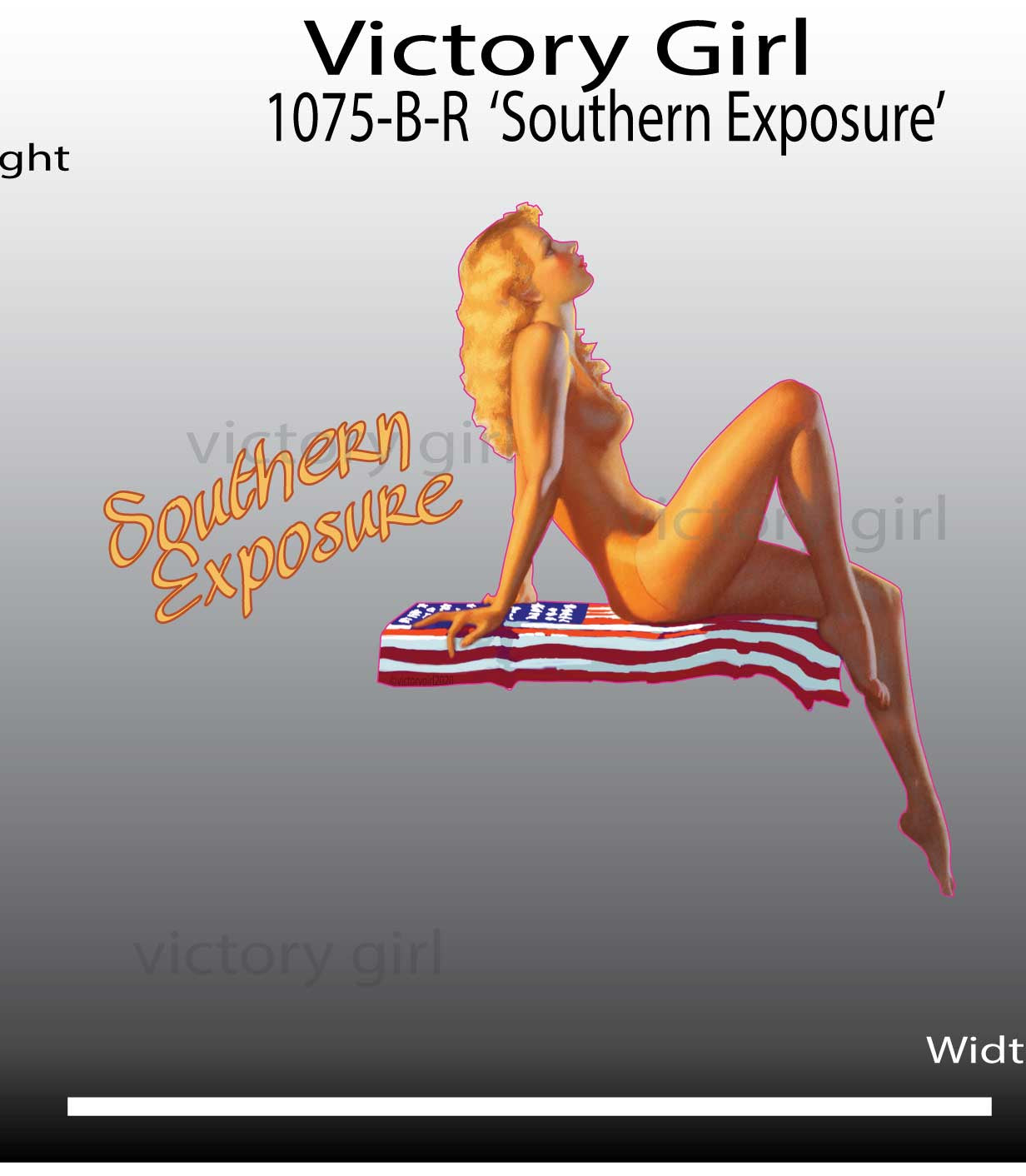 Southern Exposure Vinyl Decal Sticker