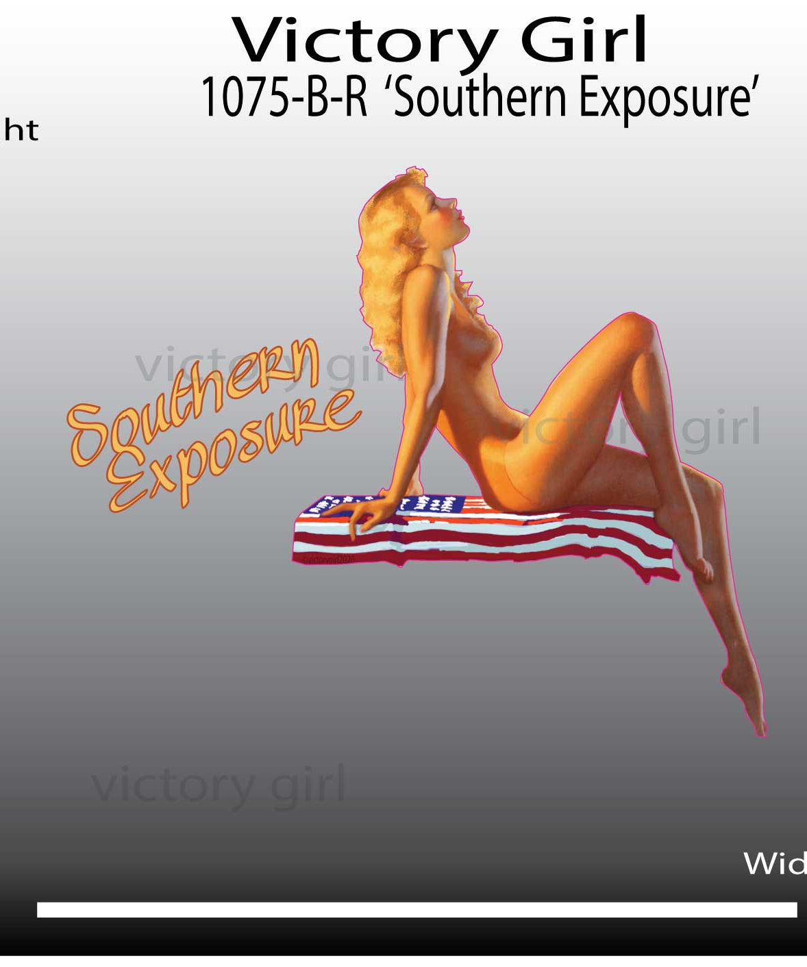 Southern Exposure Vinyl Decal Sticker