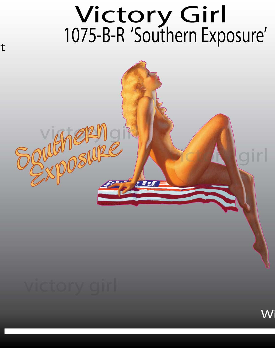 Southern Exposure Vinyl Decal Sticker