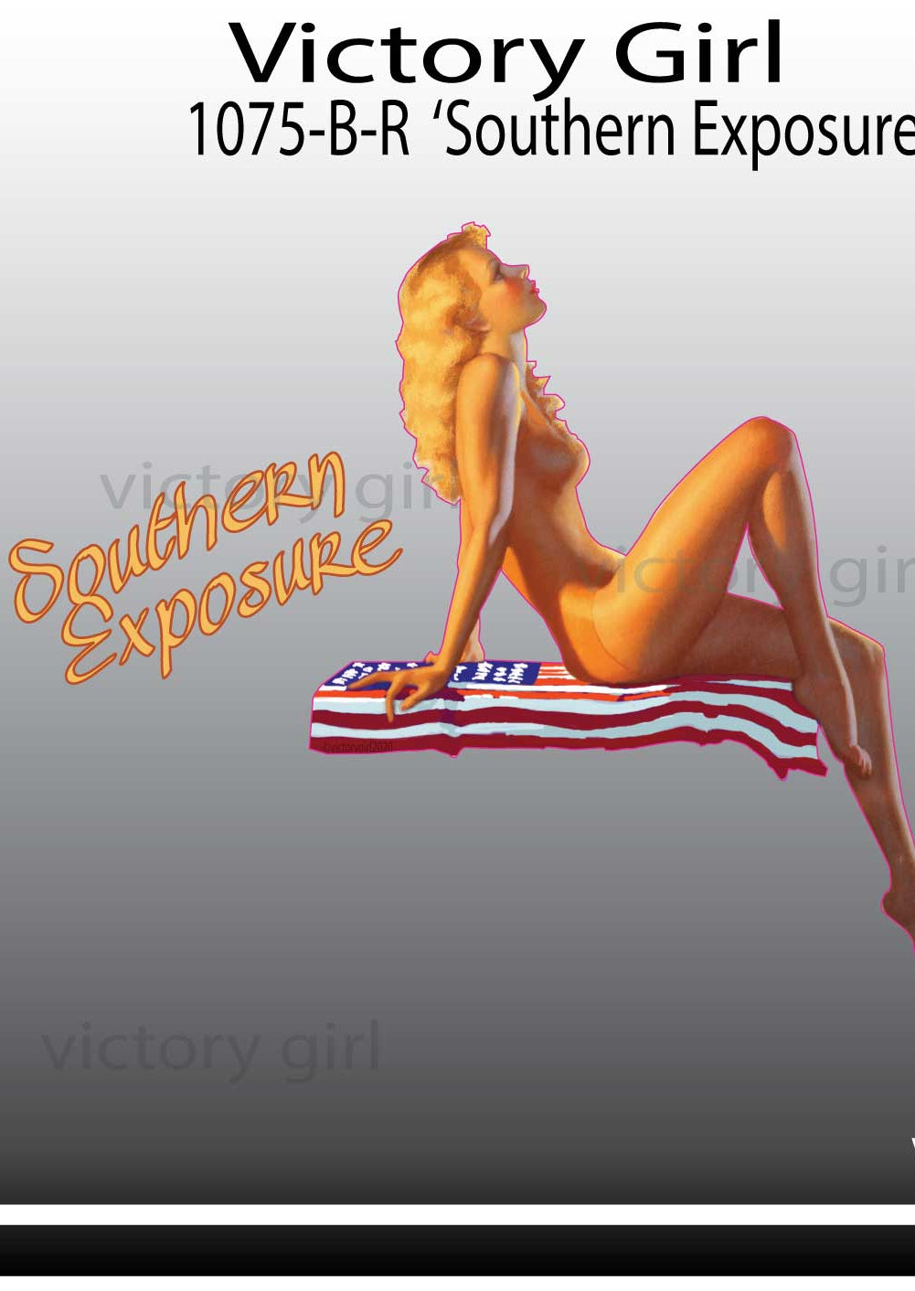 Southern Exposure Vinyl Decal Sticker