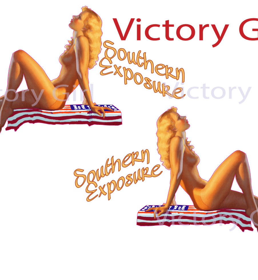 Southern Exposure Vinyl Decal Sticker