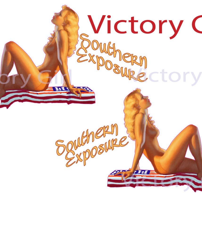 Southern Exposure Vinyl Decal Sticker