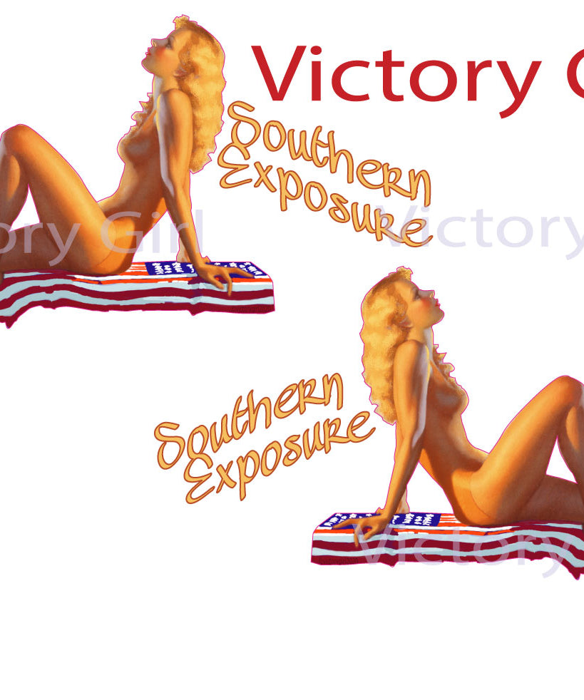 Southern Exposure Vinyl Decal Sticker
