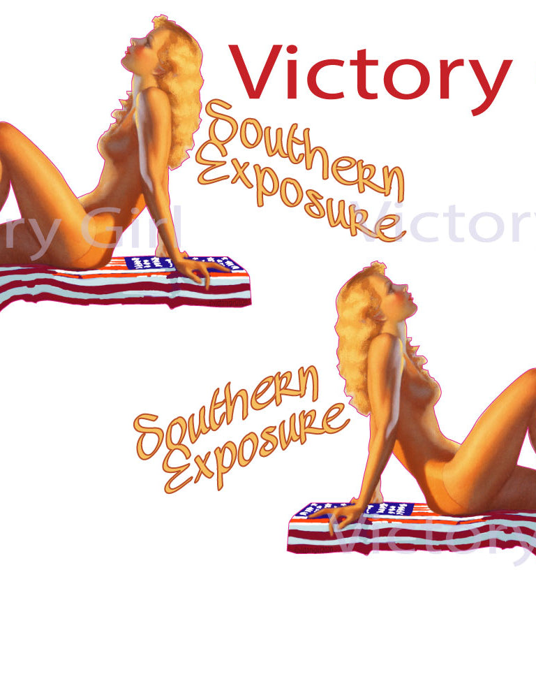 Southern Exposure Vinyl Decal Sticker