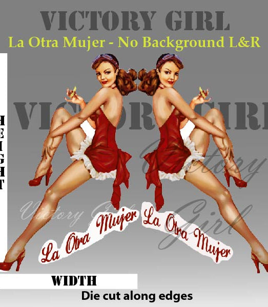 La Otra Mujer - no background Vinyl Decal Sticker