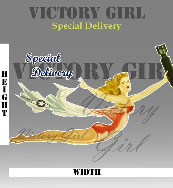 Special Delivery Nose Art Vinyl Decal Sticker