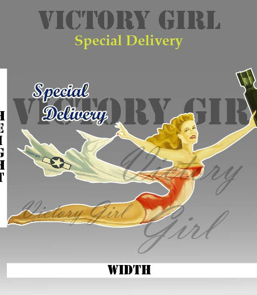 Special Delivery Nose Art Vinyl Decal Sticker