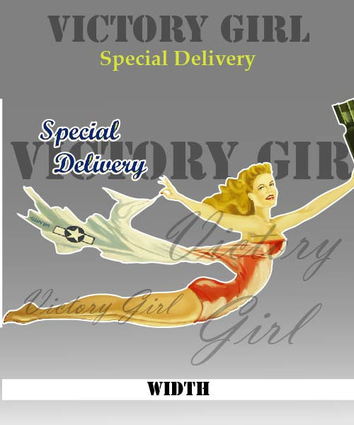 Special Delivery Nose Art Vinyl Decal Sticker