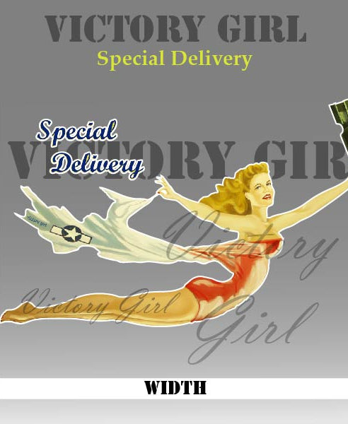 Special Delivery Nose Art Vinyl Decal Sticker