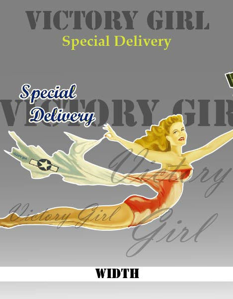 Special Delivery Nose Art Vinyl Decal Sticker