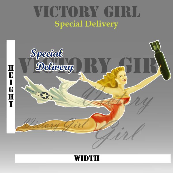Special Delivery Nose Art Vinyl Decal Sticker