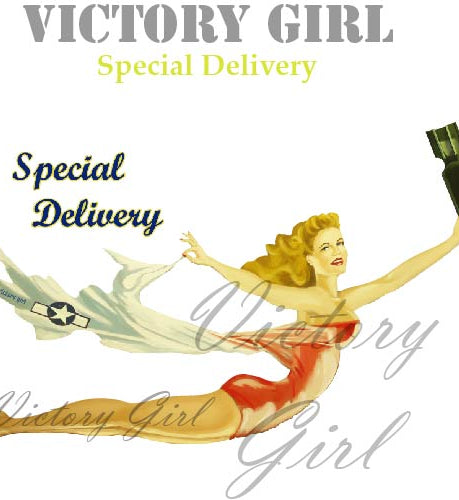 Special Delivery Nose Art Vinyl Decal Sticker