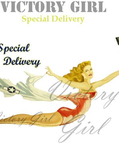 Special Delivery Nose Art Vinyl Decal Sticker